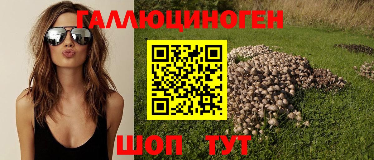 Псилоцибиновые грибы мицелий Шарыпово