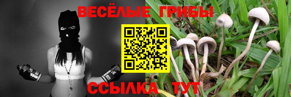 Псилоцибиновые грибы ЛСД  Вход с VPN  Шарыпово 